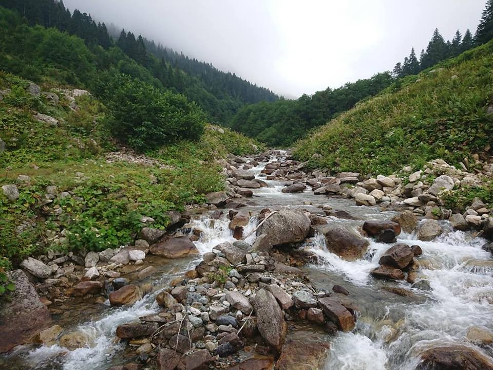 Ayder Yaylası – fotoğraf 1